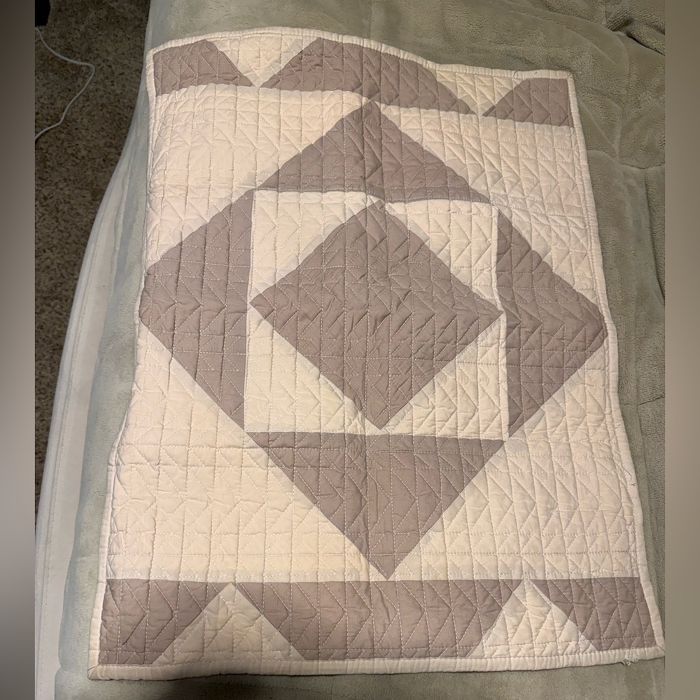 2 Standard Twin pillow shams